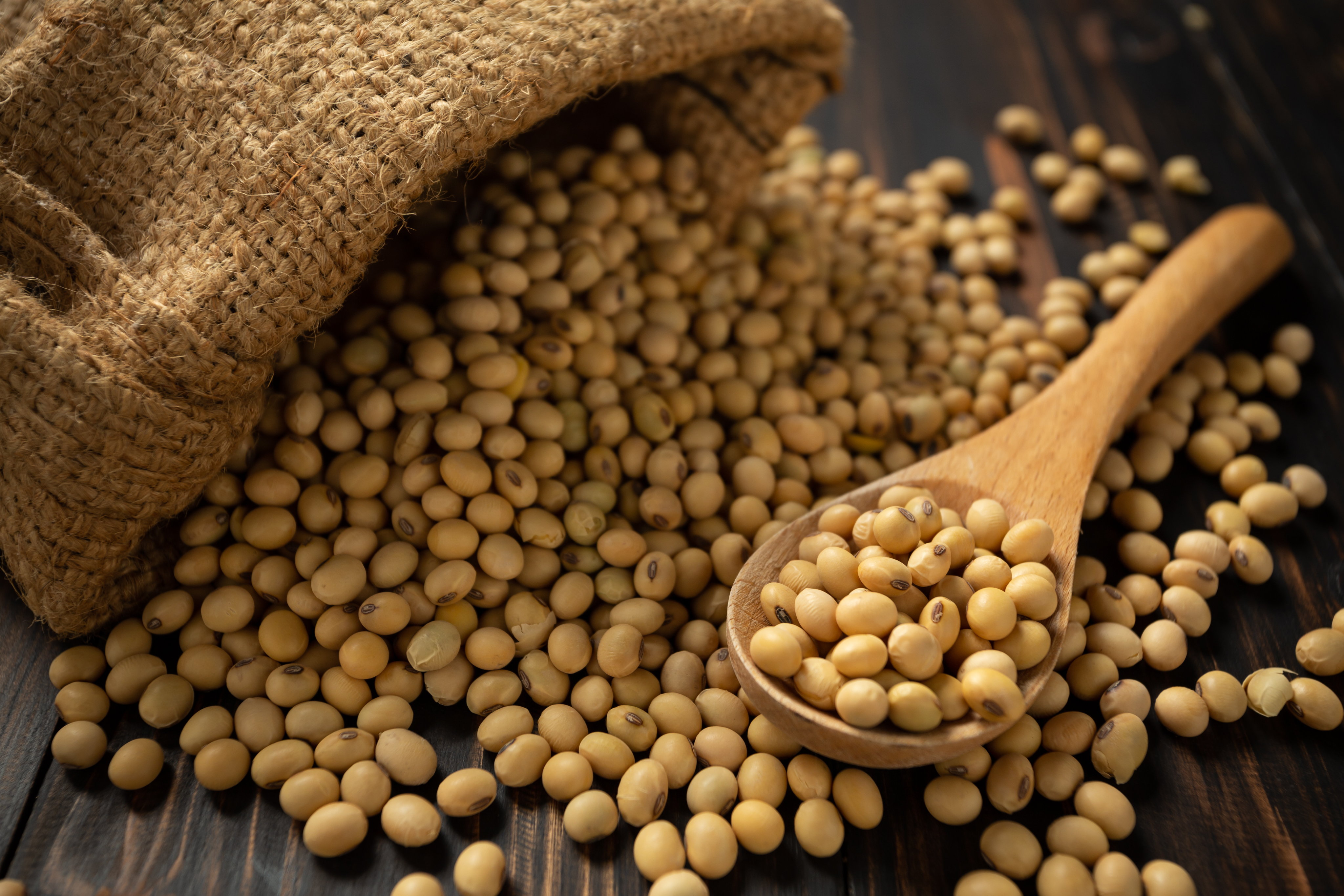 Soybeans in sacks